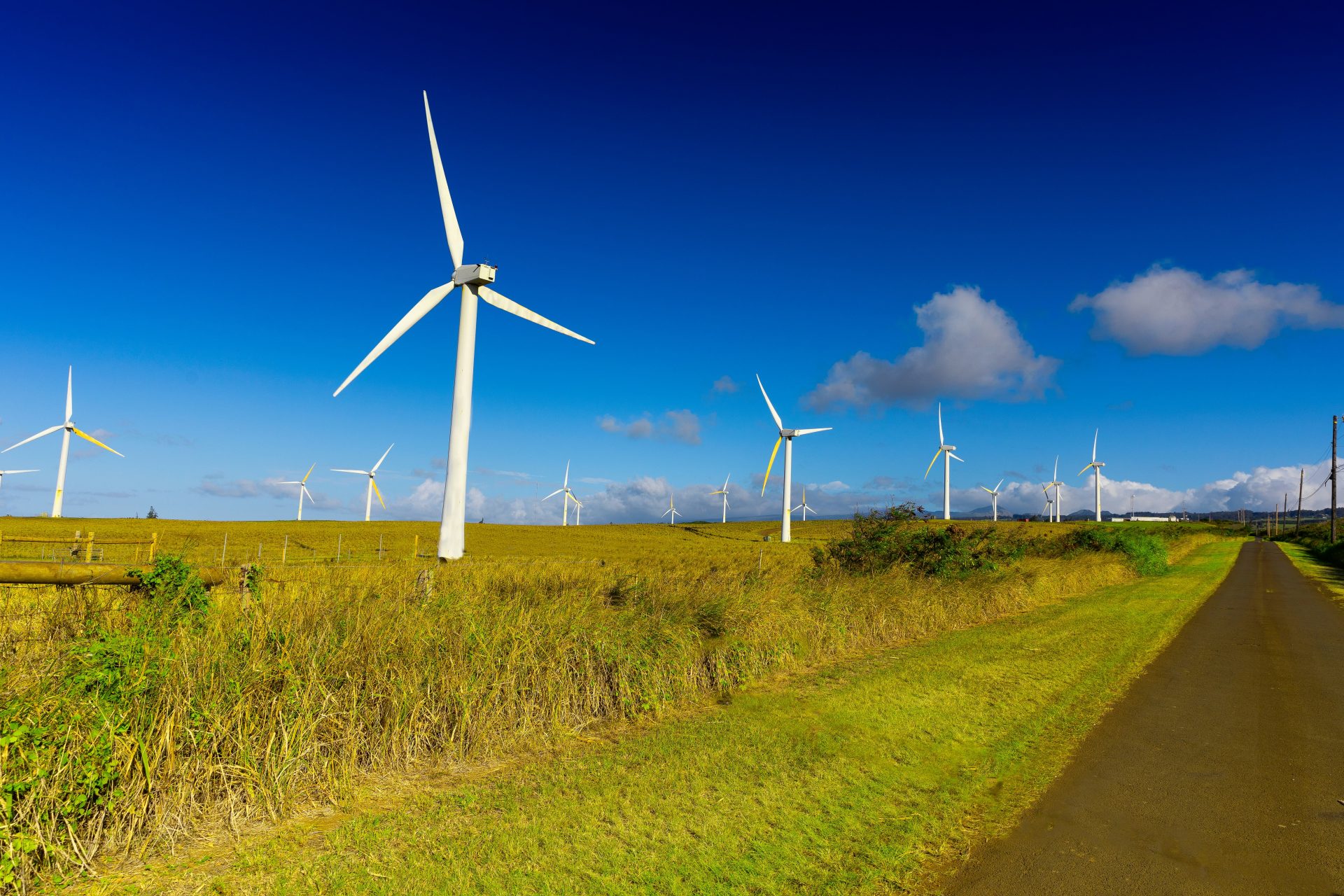 a field of grass and a road with a bunch of windmills in the background